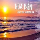 Hoa Biển-cover