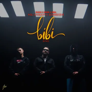 Skankovi Hibridi-cover