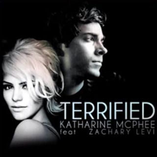Terified-cover