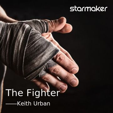 The Fighter-cover