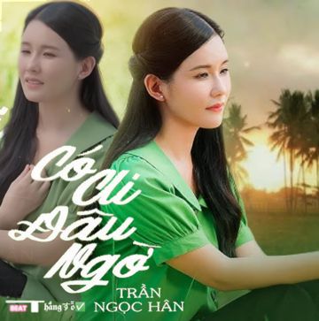 Có Ai Đâu Ngờ-cover