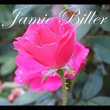 It's a beautiful day-cover