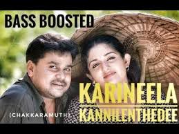 Karineela kannilenthedee -cover