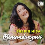 Memandangmu-cover