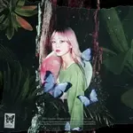 Acid Fly-cover