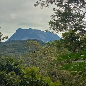 Dulu