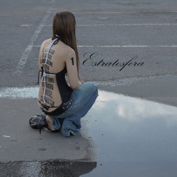 Racecar-cover