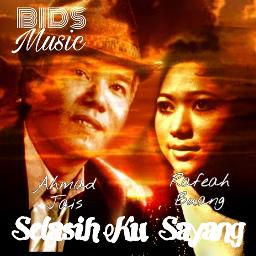 Selasih Ku Sayang-cover