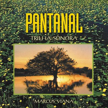 marcus-viana-pantanal-cover-image