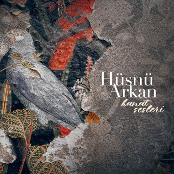 Gel Buluta Bakalım-cover