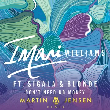 Don't Need No Money (feat. Sigala & Blonde) (Martin Jensen Extended Remix)-cover