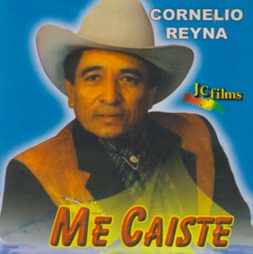 Me Caiste Del Cielo-cover