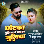 Chotka Puliya Me Motka Guliya-cover