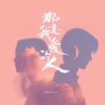 那是我爱的人-cover