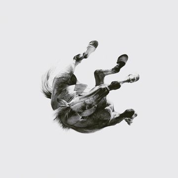 Dark Light-cover