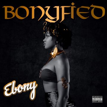 Ediot-cover
