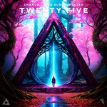 Twenty Five-cover