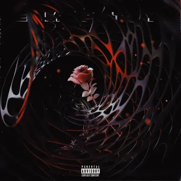 EMPTY-cover