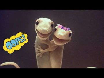 coveImg