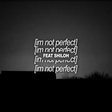 i'm not perfect-cover