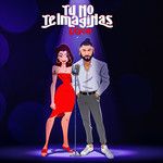 Tu No Te Imaginas-cover