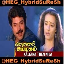 Kalyana Then Nila-cover