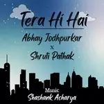 Tera Hi Hai-cover