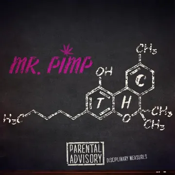 Mr Pimp-cover