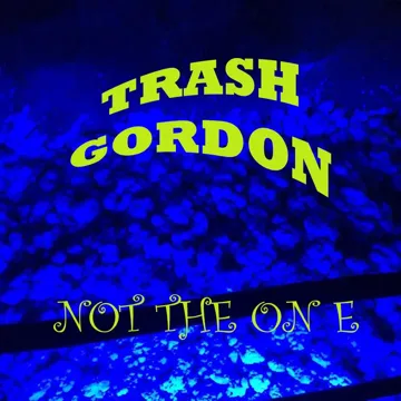 Not the One (Radio Edit)-cover