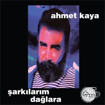 Şu dağlarda kar olsaydım-cover