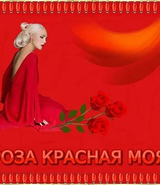 Роза красная-cover