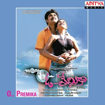 Nagundemedha-cover