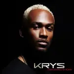 krys-bootyshake-remix-cover-image