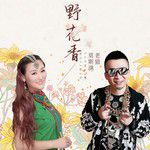 野花香(DJ翊轩版)(DJ版)-cover