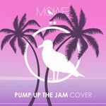 Pump Up The Jam-cover