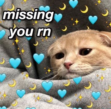 coveImg