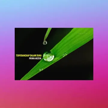 coveImg