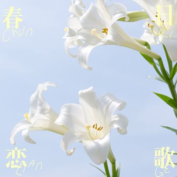 GILA GILA-cover