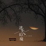 迷失幻境(DJ版)-cover
