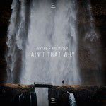 Ain't That Why(Extended Version)-cover