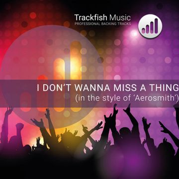 Don't wanna miss a thing-cover