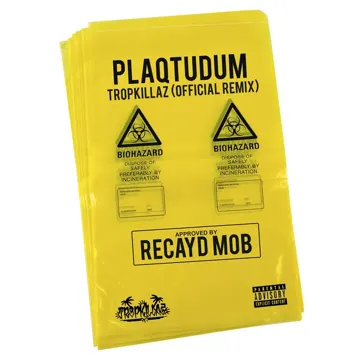 Plaqtudum (Tropkillaz Remix)-cover