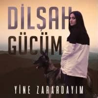 Ayşemin Yeşil Sandığı