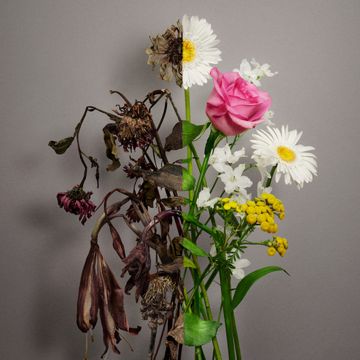 Scented Things-cover
