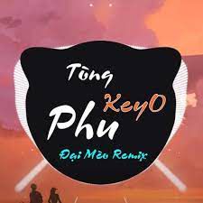 TÒNG PHU -cover