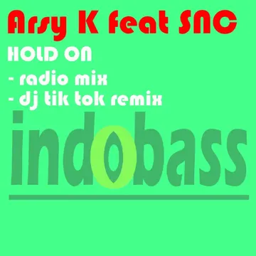 Hold On (DJ Tik Tok Remix)-cover