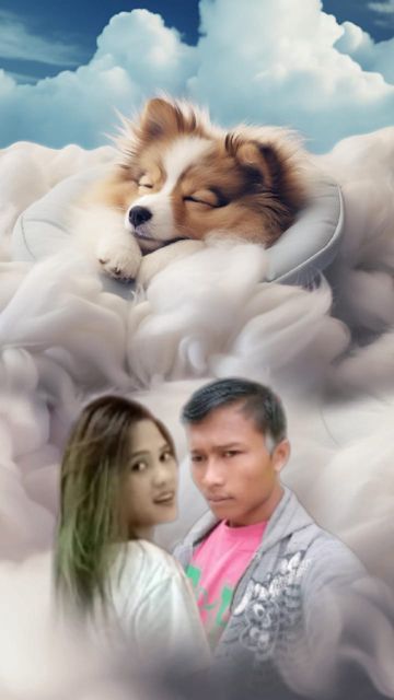 coveImg