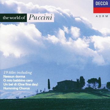 Turandot / Act 3:"Tu che di gel sei cinta"-cover