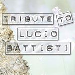Amore caro amore bello