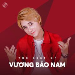 Người Em Chọn Không Phải Anh-cover